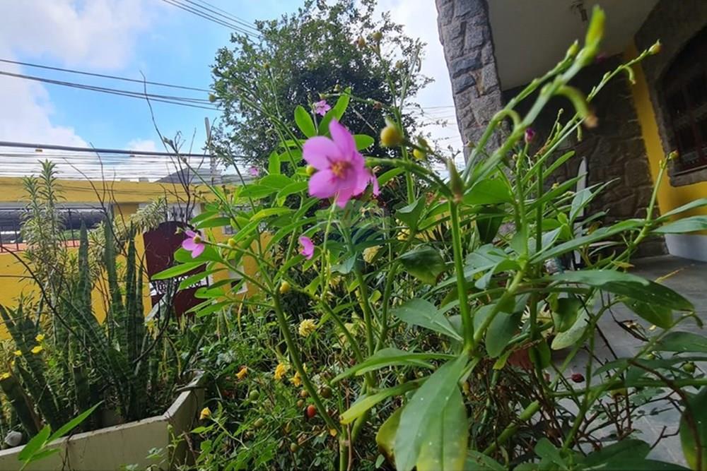 Casa - Venda - Rio de Janeiro , Rio de Janeiro - WhatsApp Image 2025-12-09 at 15.14.25 (4).jpeg - 570561003-7