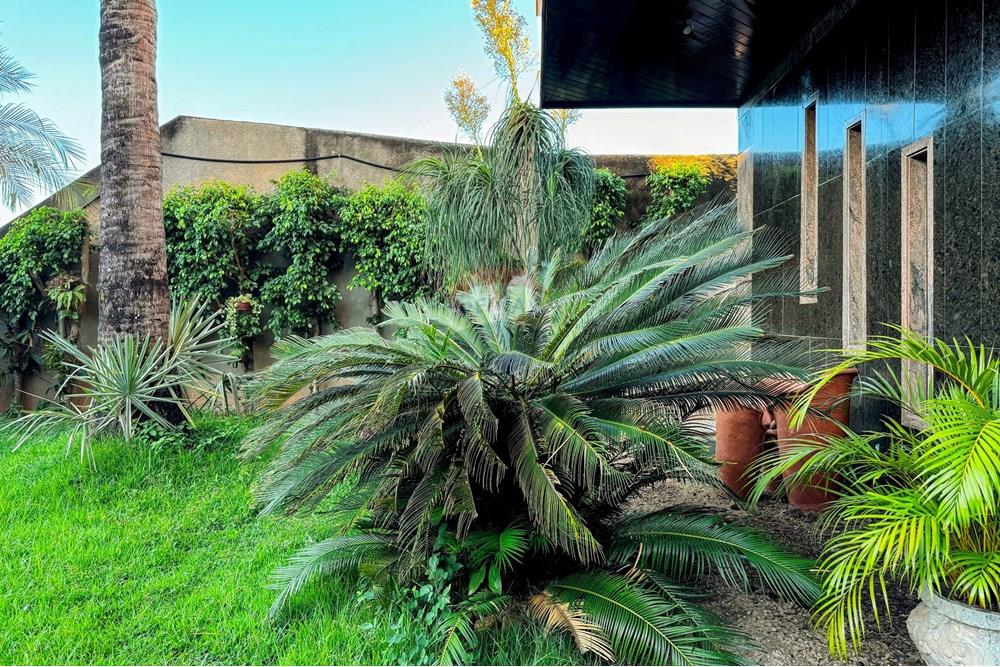 Жилищен - Апартамент - Rio de Janeiro , Rio de Janeiro - BR - IMG_2602-EDIT.jpg - 570381027-232