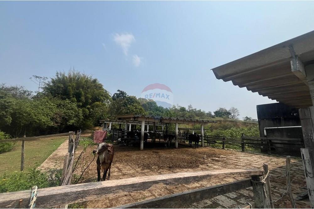 Chácara / Sítio / Fazenda - Venda - Cachoeiras de Macacu , Rio de Janeiro - WhatsApp Image 2024-11-28 at 15.41.01.jpeg - 570371033-52