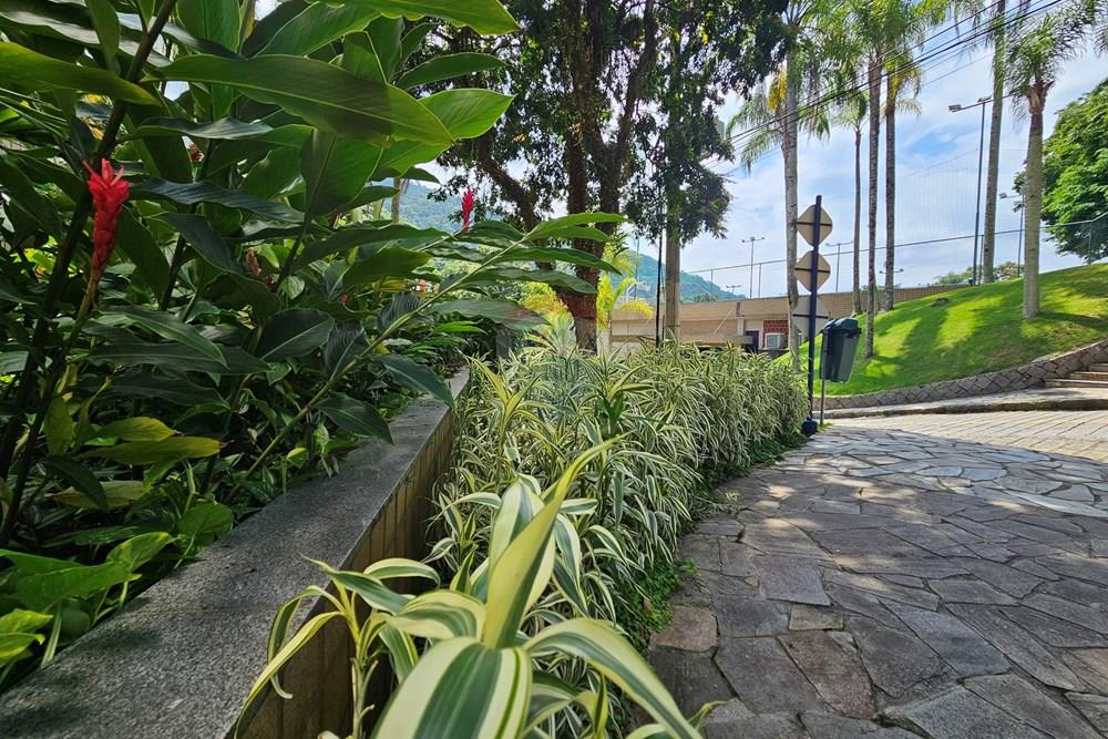 Apartamento - Venda - Mangaratiba , Rio de Janeiro - 20260306_113237.jpg - 570511005-217