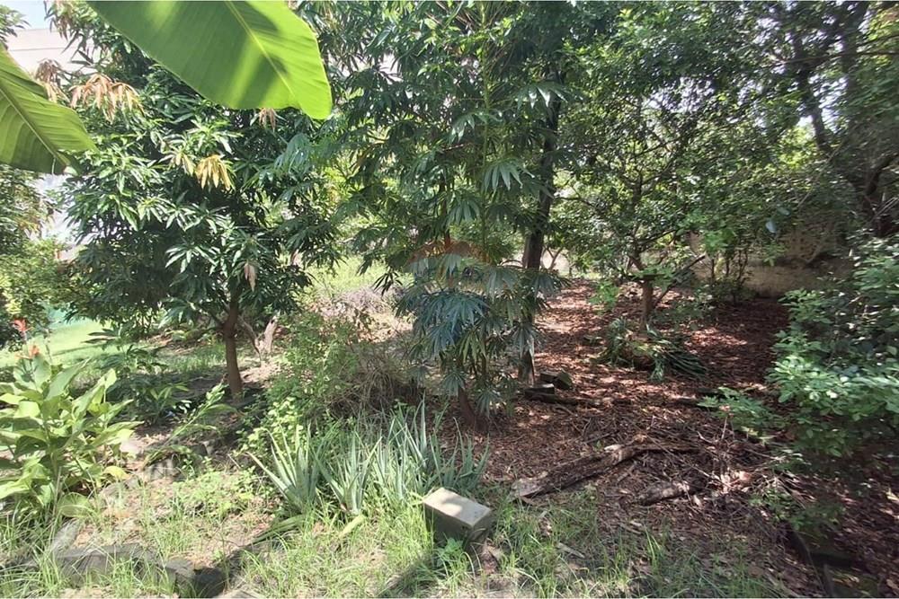 Terreno - Venda - Rio de Janeiro , Rio de Janeiro - WhatsApp Image 2026-01-27 at 11.54.19.jpeg - 570461065-22