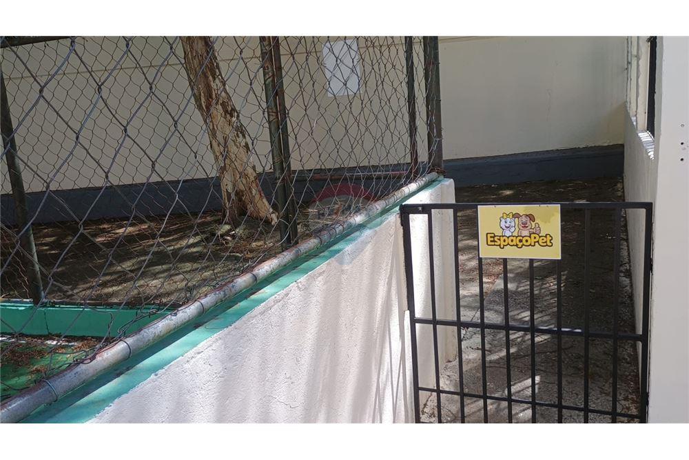 Apartamento - Alugar - Rio de Janeiro , Rio de Janeiro - 20 - 570491008-58