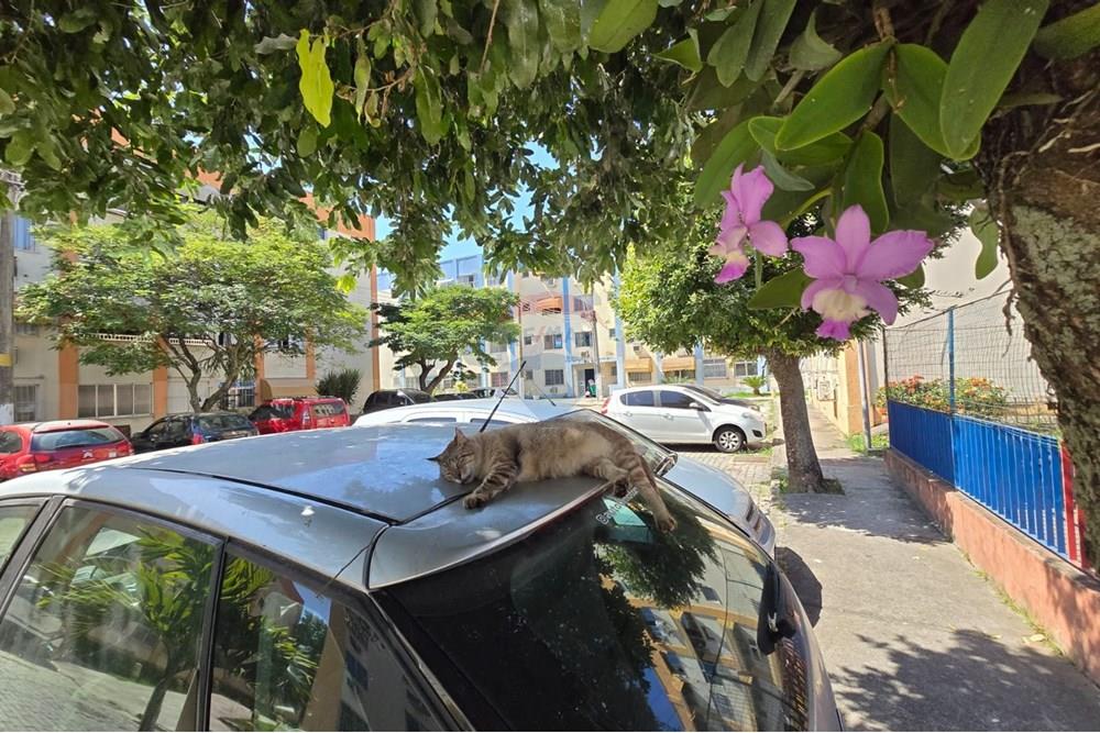 Apartamento - Venda - Rio de Janeiro , Rio de Janeiro - Imagem do WhatsApp de 2025-08-20 à(s) 14.12.21_8dc3ce07.jpg - 570371028-32