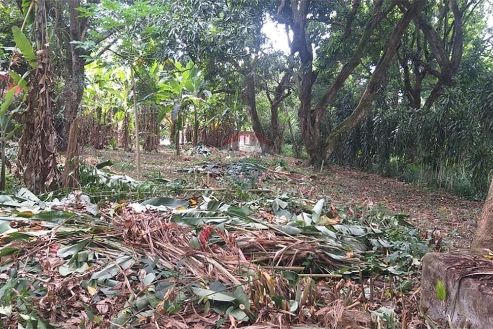 Terreno - Venda - Rio de Janeiro , Rio de Janeiro - WhatsApp Image 2026-02-13 at 07.47.08.jpeg - 570531004-25