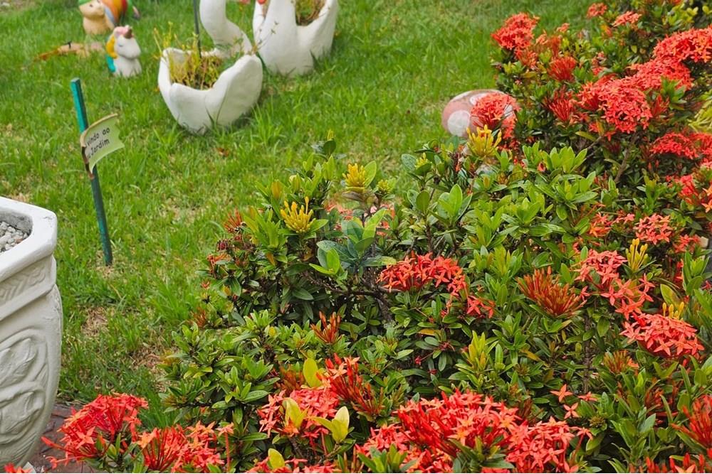 Casa - Venda - Rio de Janeiro , Rio de Janeiro - WhatsApp Image 2025-12-18 at 07.55.28.jpeg - 570511005-214