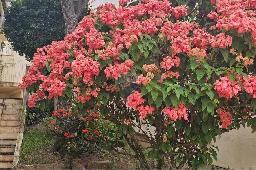 Casa - Venda - Rio de Janeiro , Rio de Janeiro - WhatsApp Image 2025-12-18 at 07.55.30.jpeg - 570511005-214