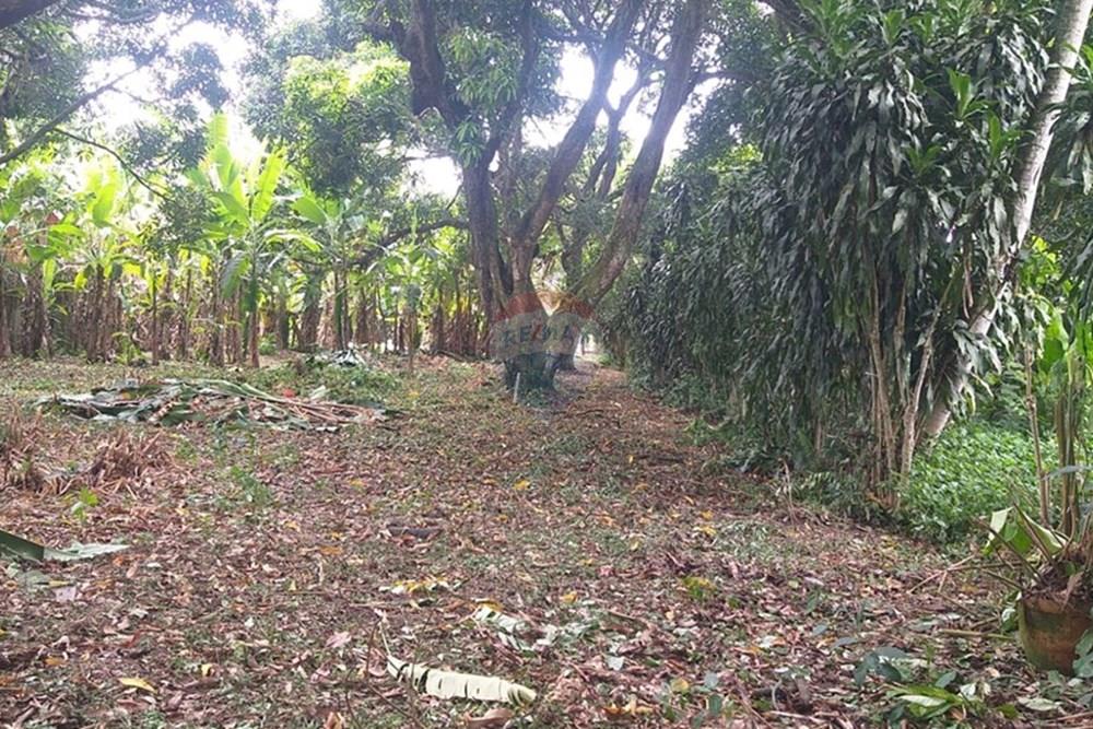 Terreno - Venda - Rio de Janeiro , Rio de Janeiro - WhatsApp Image 2026-02-13 at 07.47.09.jpeg - 570531004-25