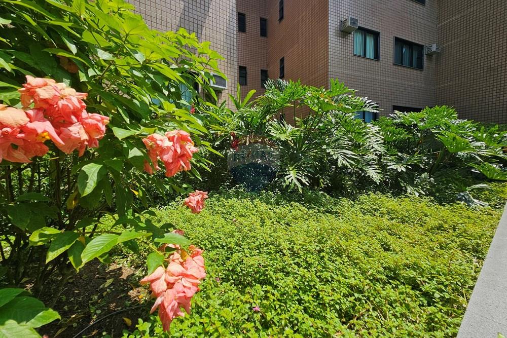 Apartamento - Venda - Mangaratiba , Rio de Janeiro - 20260306_113152.jpg - 570511005-217