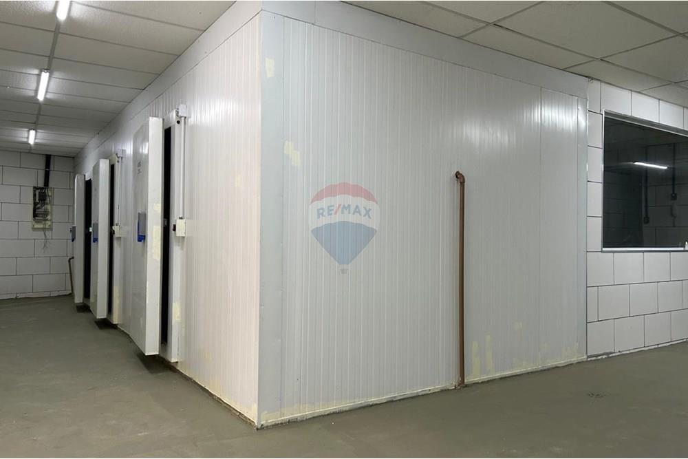 Galpão - Alugar - Rio de Janeiro , Rio de Janeiro - WhatsApp Image 2025-12-12 at 15.03.46 (6).jpeg - 570501003-103