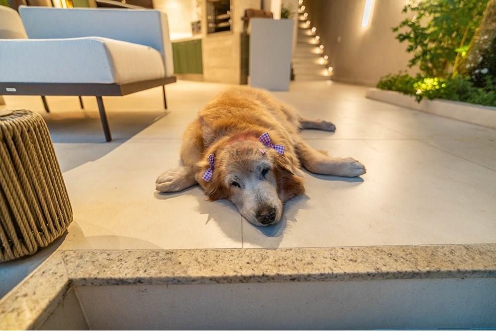 Gyvenamasis - Namas - Rio de Žaneiras , Rio de Žaneiras - BR - REMAX-192.jpg - 570381053-52