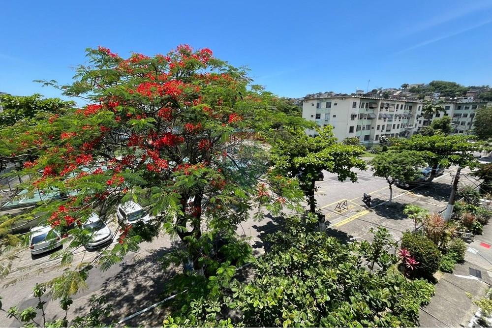 Apartamento - Venda - Rio de Janeiro , Rio de Janeiro - WhatsApp Image 2026-02-20 at 10.34.36 (1).jpeg - Recepção - 570461015-74