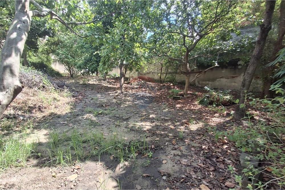 Terreno - Venda - Rio de Janeiro , Rio de Janeiro - WhatsApp Image 2026-01-27 at 11.54.25 (2).jpeg - 570461065-22