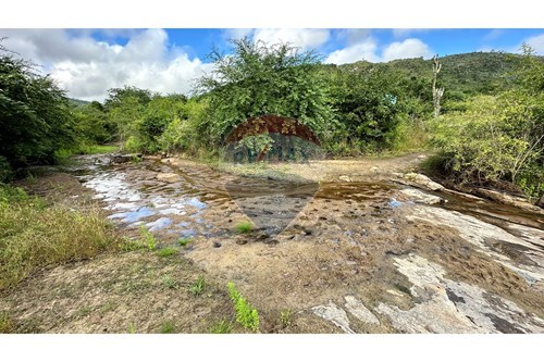 Venda-Chácara / Sítio / Fazenda-km-4 , Jequié , Bahia , 45213000-580731023-47