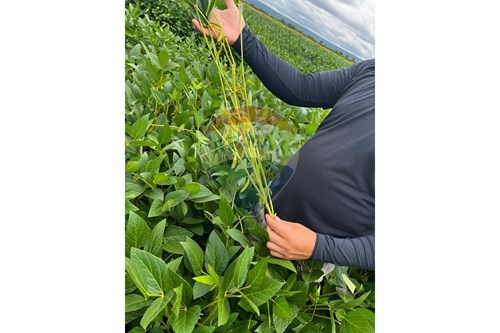 Slider Panorama Image Thumbnail