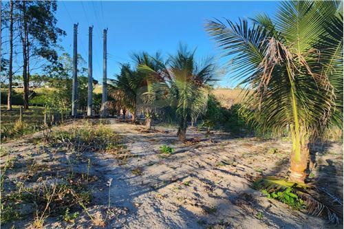 Venda-Chácara / Sítio / Fazenda-Rod. Gov. Mário Covas , 02  - Bela Vista , Teixeira de Freitas , Bahia , 45985-970-580631029-41