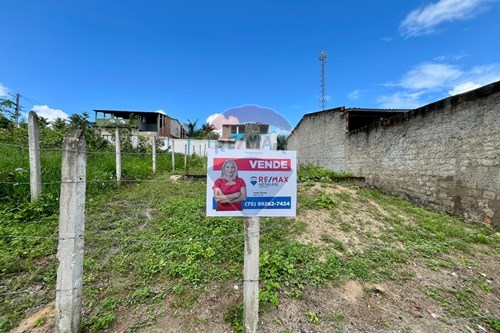 Venda-Terreno-Alagoinhas Velha , Alagoinhas , Bahia , 48009562-580701047-5