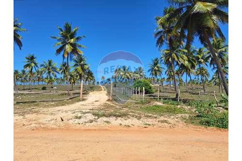 Venda-Terreno-Estrada para Barra de Itariri, Sítio do Conde , Lote 15  - Próximo ao hotel Coco Beach  - Sítio do Conde , Conde , Bahia , 48300-000-580691012-65