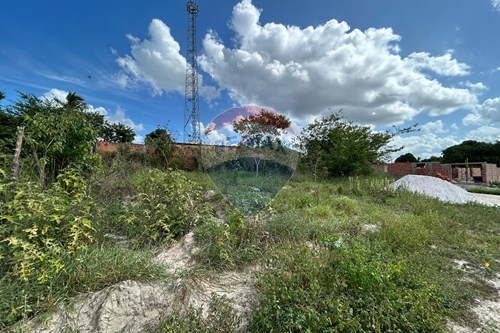 Venda-Terreno-Alagoinhas Velha , Alagoinhas , Bahia , 48030480-580701006-43