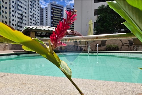 Alugar-Apartamento-RUA HILTON RODRIGUES , 46  - PRAÇA  - Pituba , Salvador , Bahia , 41830630-580541094-10