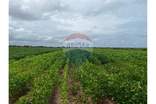 Slider Panorama Image Thumbnail