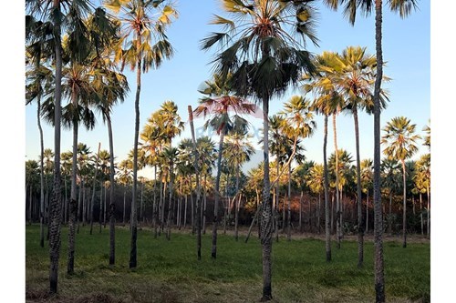 Slider Panorama Image Thumbnail