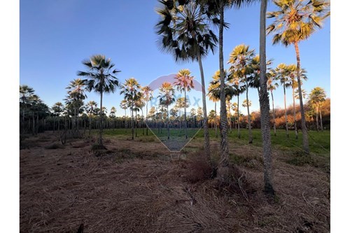 Slider Panorama Image Thumbnail