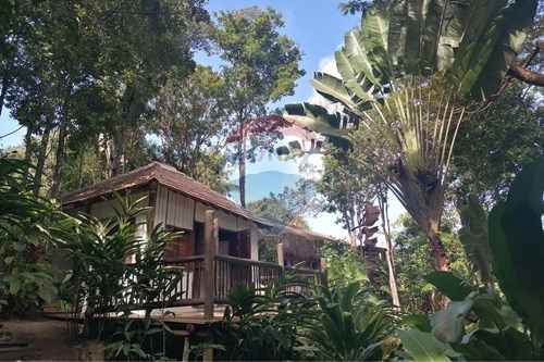 Venda-Casa-Rua do Telegrafo , 18  - Embassa  - Trancoso , Porto Seguro , Bahia , 45818-000-580581042-4