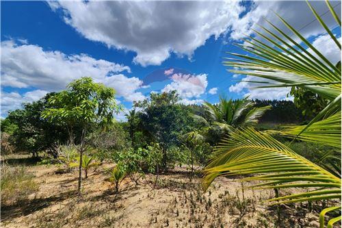 Venda-Chácara / Sítio / Fazenda-Rod. Gov. Mário Covas , 00  - Bela Vista , Teixeira de Freitas , Bahia , 45985-970-580631029-39