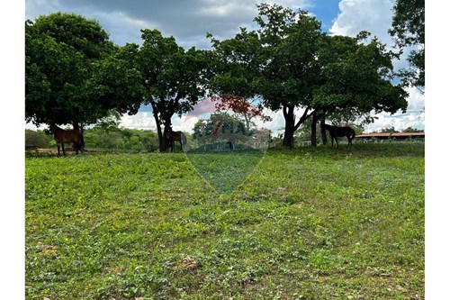 Slider Panorama Image Thumbnail