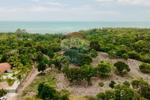 Venda-Terreno-Sitio recanto das brisas , s/n  - entre Caraiva e Trancoso  - Centro , Trancoso , Bahia , 45810000-580581012-109