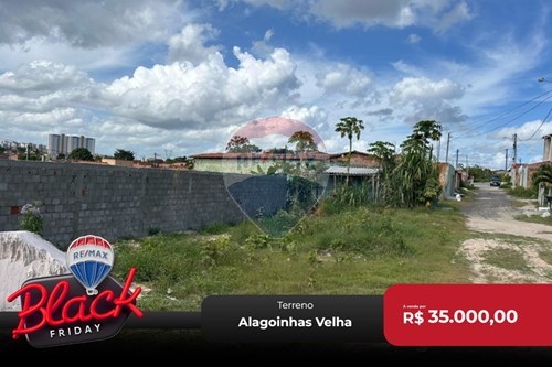 Venda-Terreno-Alagoinhas Velha , Alagoinhas , Bahia , 48030480-580701006-44