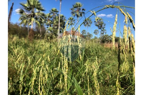 Slider Panorama Image Thumbnail