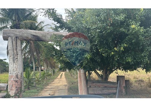 Venda-Chácara / Sítio / Fazenda-Centro , Medeiros Neto , Bahia , 45960000-580581012-93