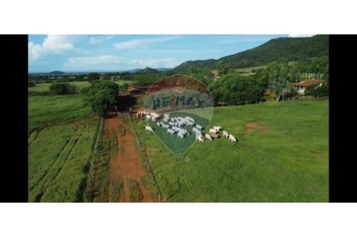 Venda-Fazenda-Centro , Wanderley , Bahia , 47940000-580791016-28