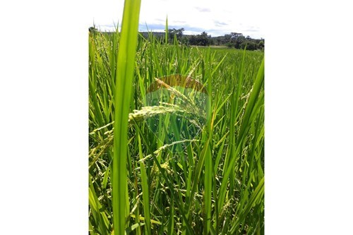 Slider 360 thumbnail