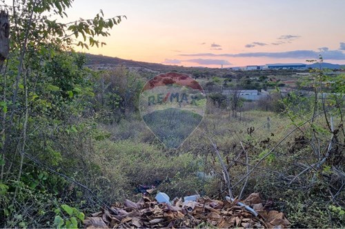 Venda-Terreno-Rua C , 101  - próximo ao posto pedra branca  - Pedra Branca , Jacobina , Bahia , 44706810-580851015-64