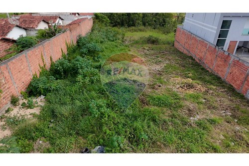 Venda-Terreno-Alagoinhas Velha , Alagoinhas , Bahia , 48007298-580701064-3