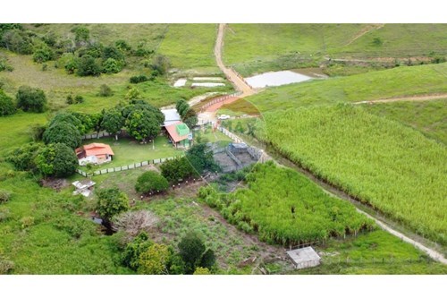 Venda-Chácara / Sítio / Fazenda-Centro , Itamaraju , Bahia , 45836000-580751001-262