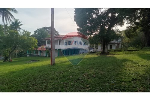 Venda-Chácara / Sítio / Fazenda-Alagoinhas Velha , Alagoinhas , Bahia , 48030-000-580701044-55