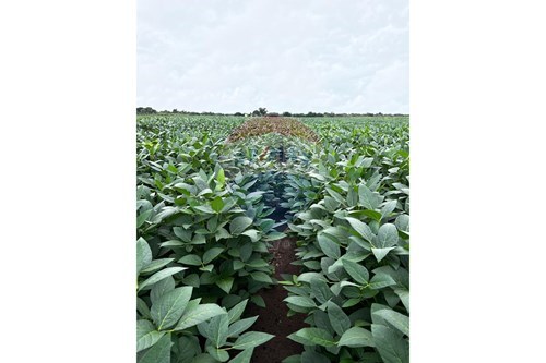 Slider Panorama Image Thumbnail