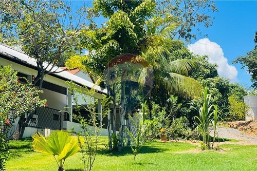 Venda-Chácara / Sítio / Fazenda-Morada Nobre , Barreiras , Bahia , 47800970-580651075-89