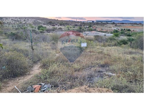 Venda-Terreno-Rua C , 101  - próximo ao posto pedra branca  - Pedra Branca , Jacobina , Bahia , 44706810-580851015-63