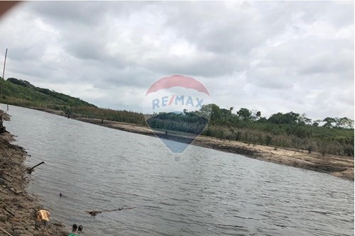 Venda-Chácara / Sítio / Fazenda-regiao do sossego ha 8km do haras campinhos club , 00  - haras Club  - Primavera , Vitória da Conquista , Bahia , 45638000-580831002-80