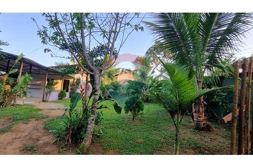 Venda-Casa de Campo-Taboquinha , Itacaré , Bahia , 45530000-580401002-13