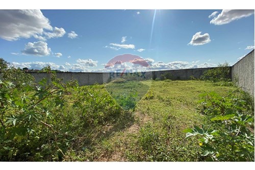 Venda-Terreno-Catu , Alagoinhas , Bahia , 48015020-580701034-52