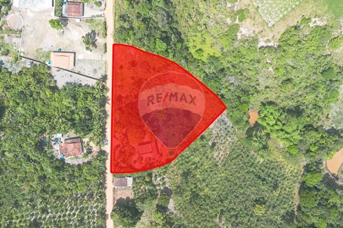 Venda-Chácara / Sítio / Fazenda-Canta Galo , 196  - Área Rural de Santo Antônio de Jesus - A R Sto A J , Santo Antônio de Jesus , Bahia , 44449999-580341015-104