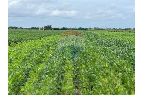 Slider 360 thumbnail