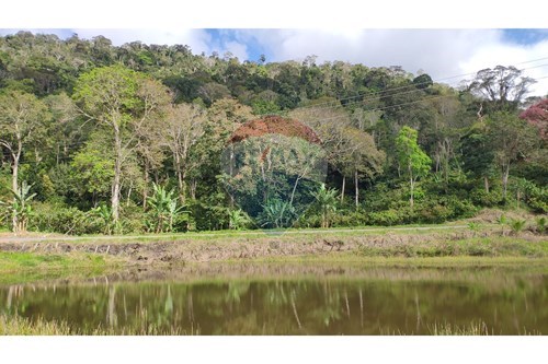 Venda-Chácara / Sítio / Fazenda-Jequiezinho , Jequié , Bahia , 45200000-580731023-74