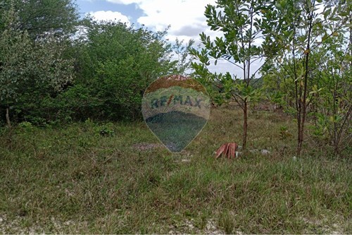 Venda-Terreno-Alagoinhas Velha , Alagoinhas , Bahia , 48031000-580701006-42