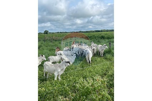 Slider 360 thumbnail